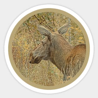 Woodland Moose Sticker